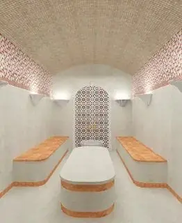 Concept: vaulted hammam with benches