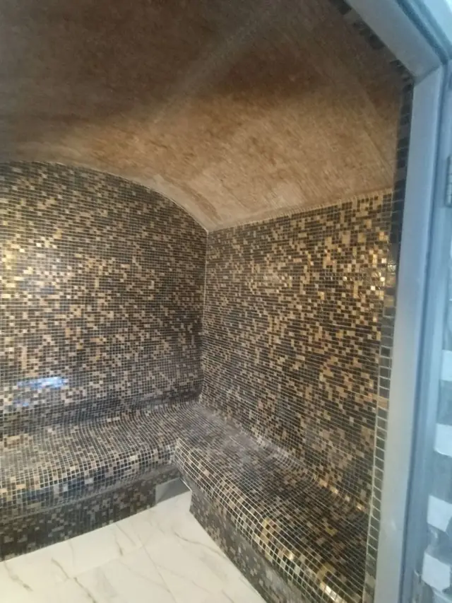 Steam room with vaulted ceiling to channel condensation